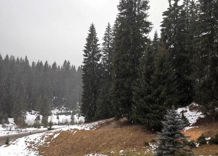 Strim 406 Stream Resort, 팜포로보