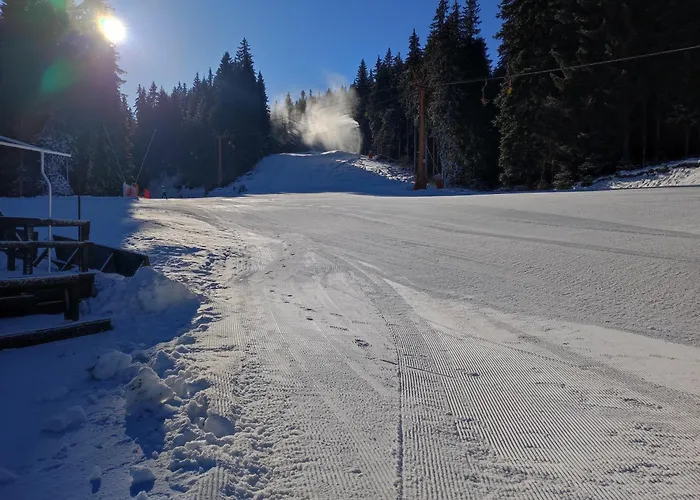 Strim 406 Stream Resort, * 팜포로보